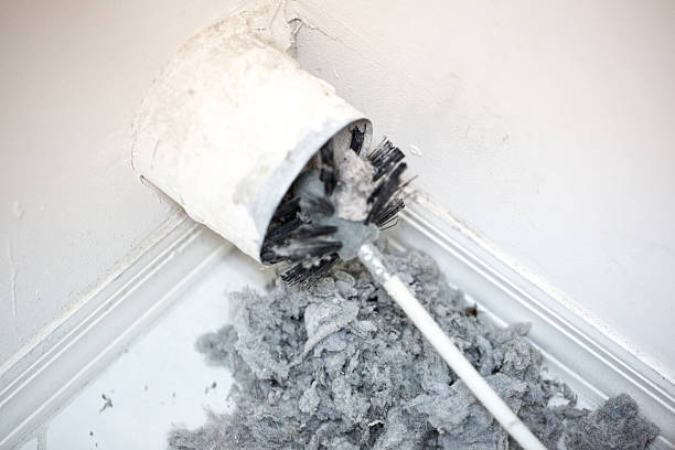 Best Home Air Vent Cleaning  in Cheviot, OH