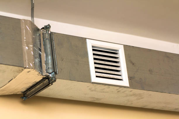 Best Air Duct Cleaning Company Near Me  in Cheviot, OH